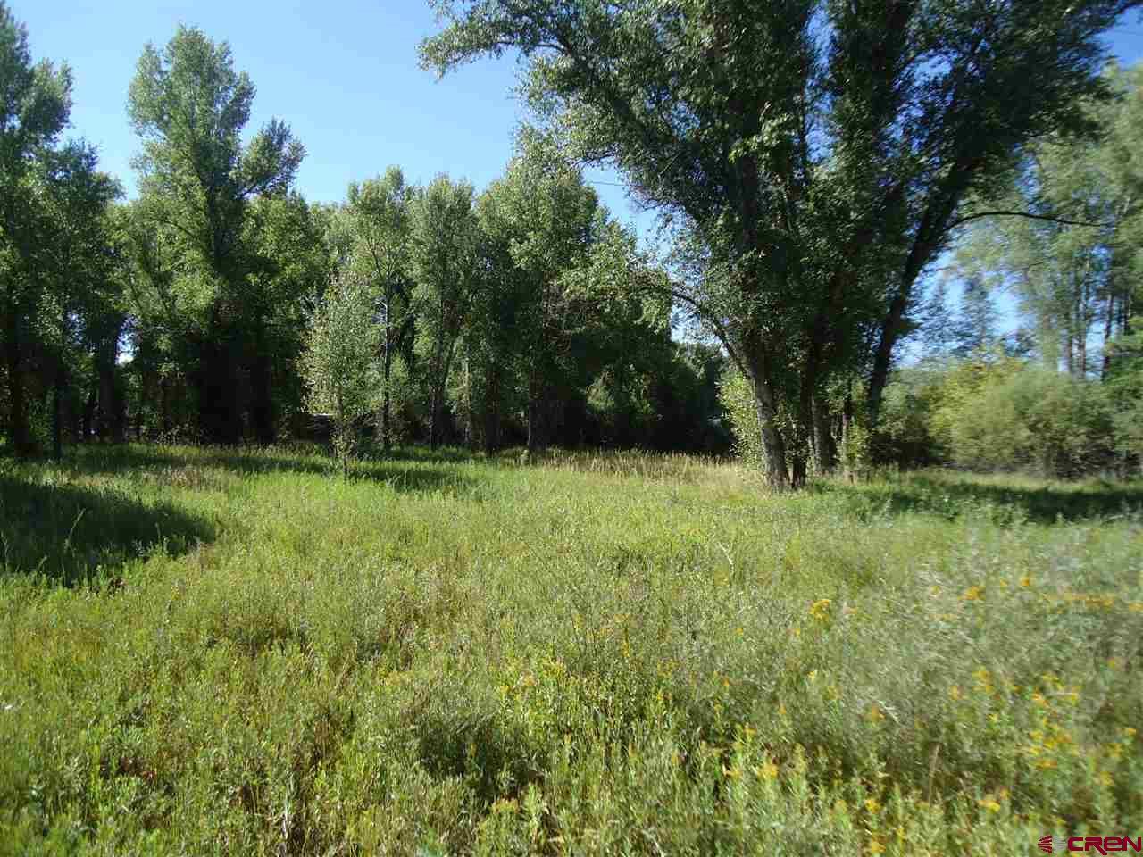 324 Rainbow Acres Lane - Photo 1