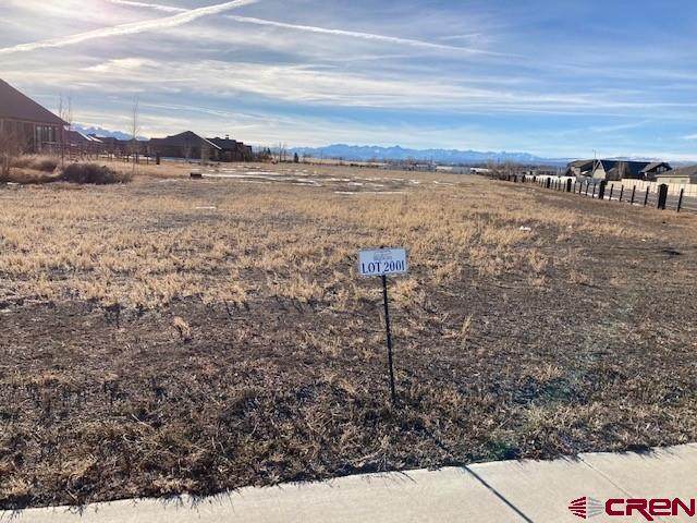 Lot 2001 Torrence Drive - Photo 1