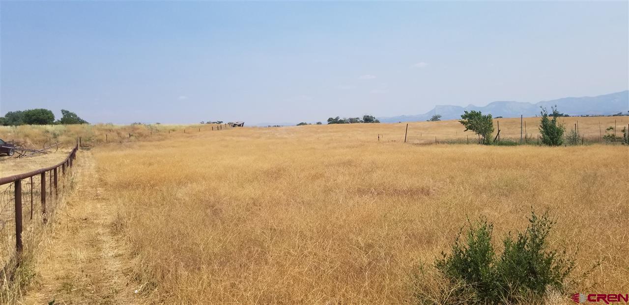 13884 Road 26 - Photo 1
