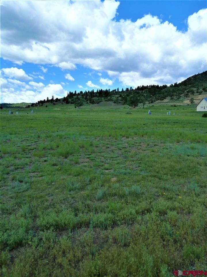 37 S Alder Creek Lane - Photo 1