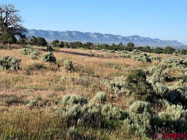 Lot 1 Road 26 - Photo 1