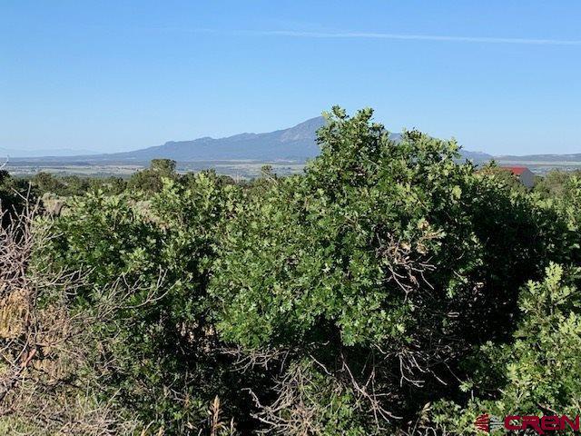 Lot 4 Road U.7 - Photo 1
