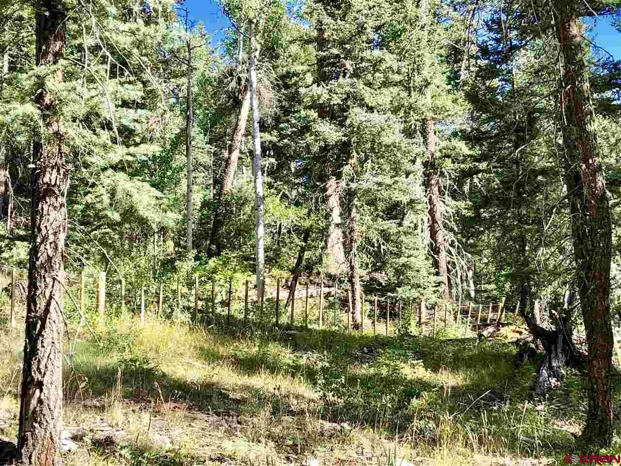 1332 Lake Purgatory Drive - Photo 1