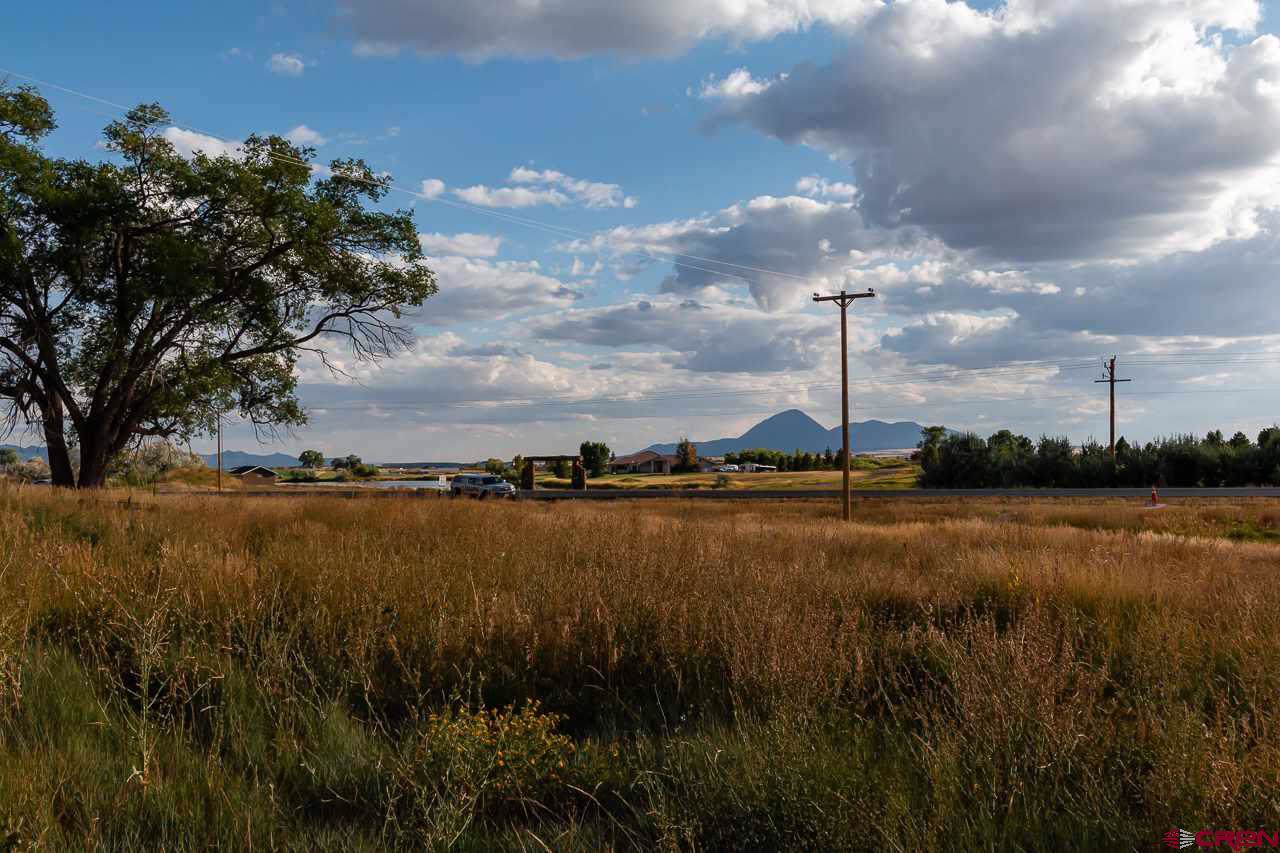 20750 Hwy 491 - Photo 1