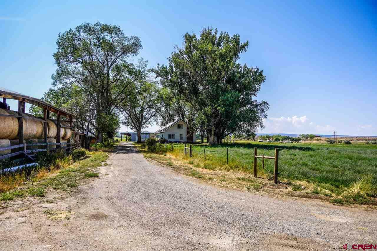 36325 Spurlin Mesa Road - Photo 1