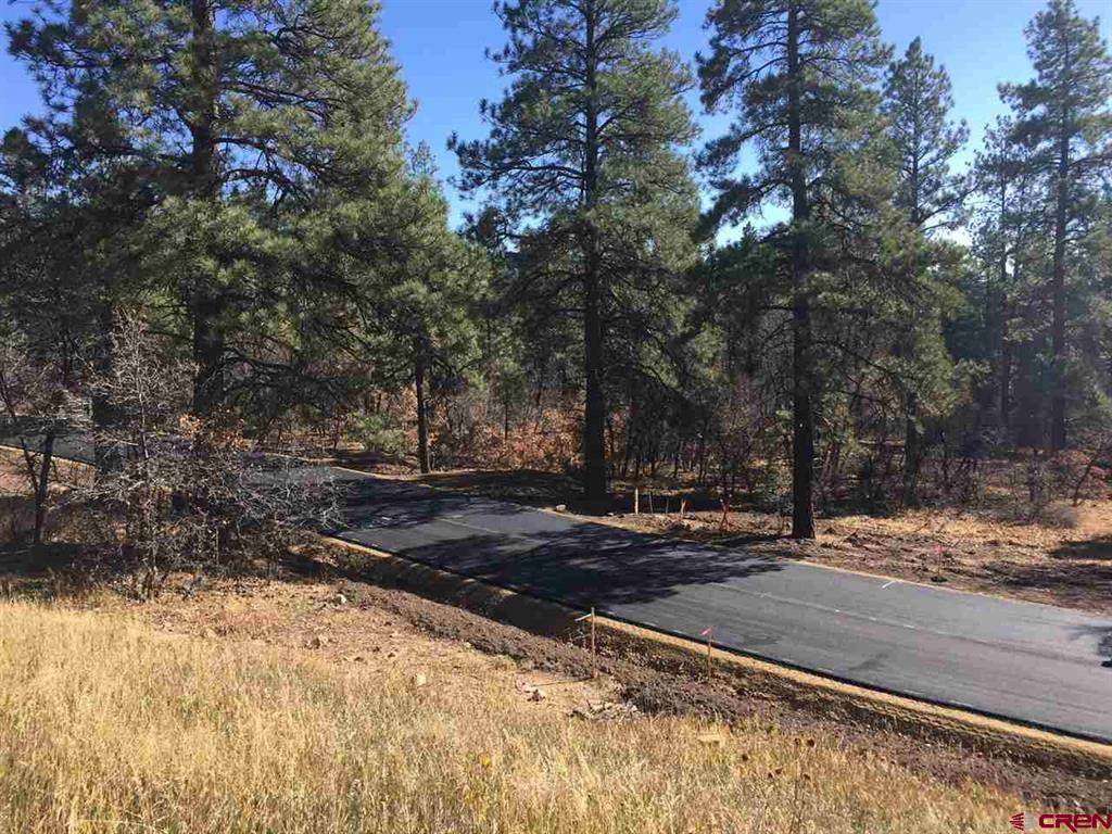 31 Terra Blue (Lot 20) Way - Photo 1