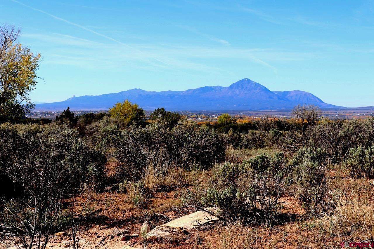 13150 Road 30.5 Loop - Photo 1
