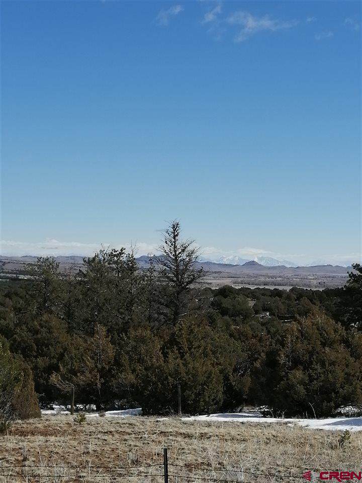 4402 Bear Creek Circle - Photo 1