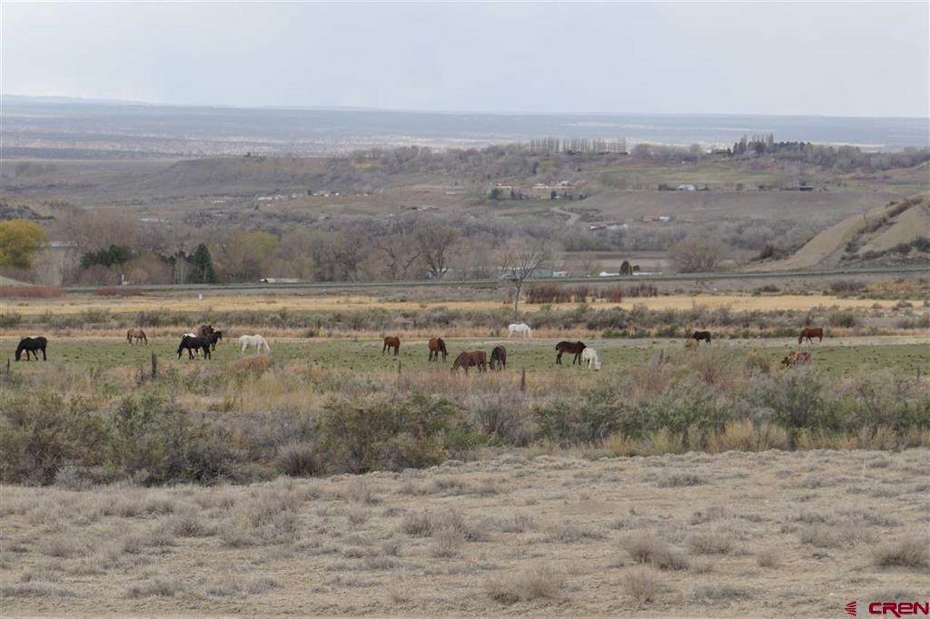 TBD Hwy 50 North - Photo 1