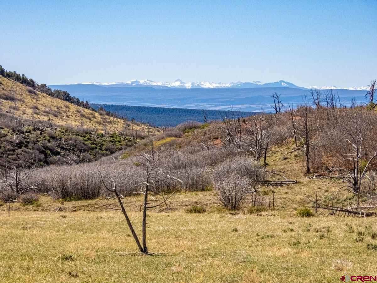 18495 Currant Creek Road - Photo 1