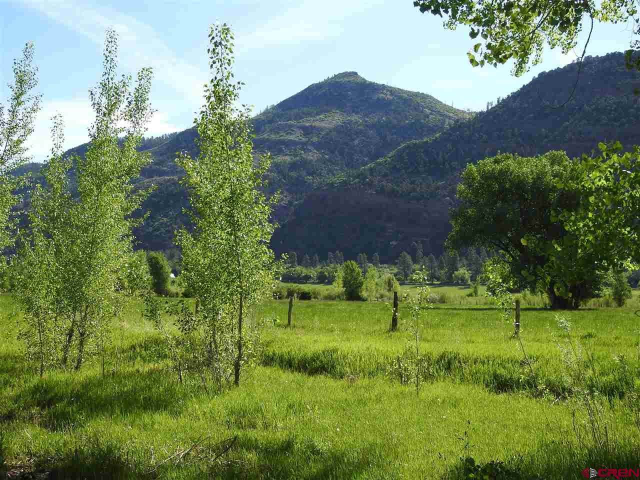 TBD Us Highway 550 - Photo 1