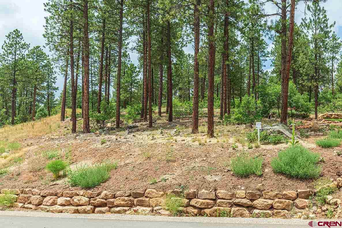 119 Cabin Creek Drive - Photo 1