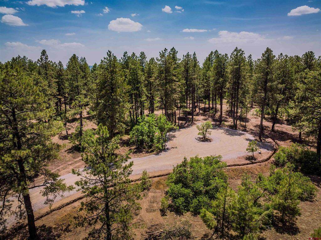 3700A County Rd 600 - Photo 1