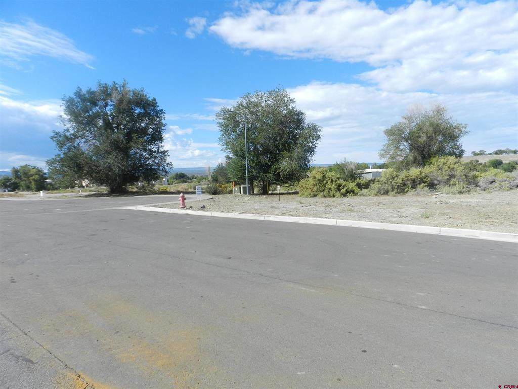 TBD Lots 7 & 8 Hawk Parkway - Photo 1