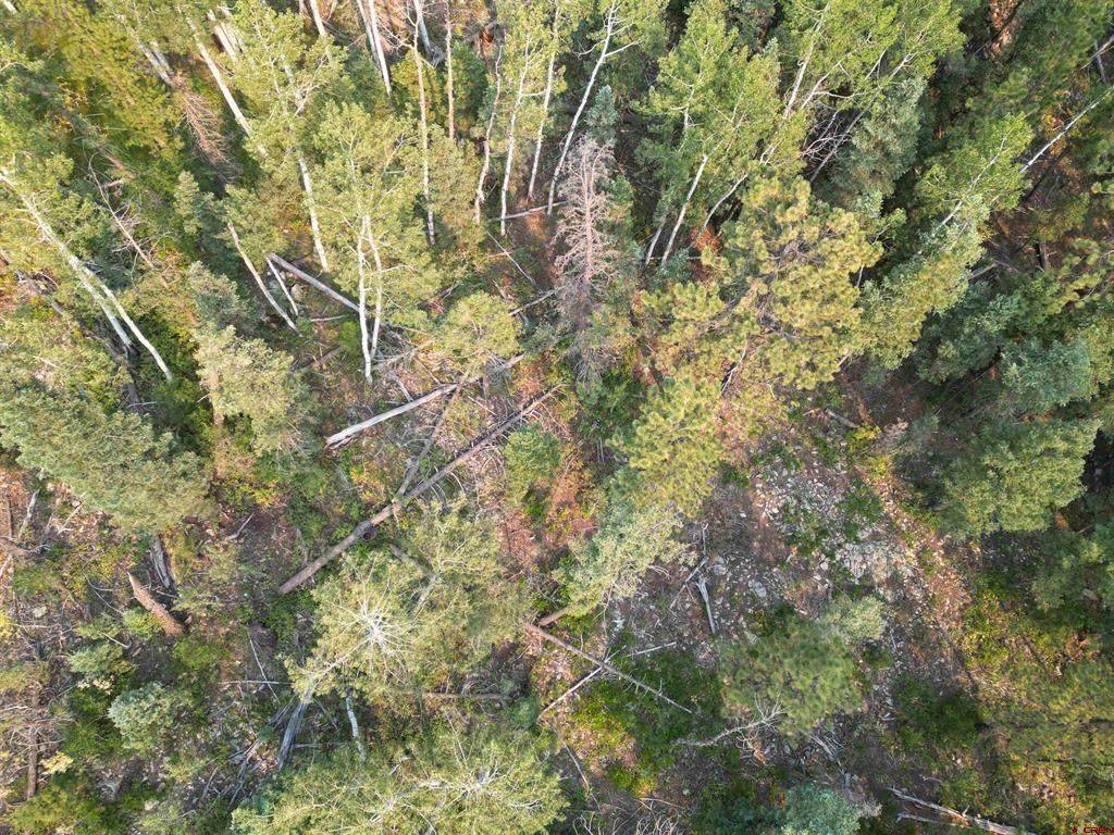 48 Ponderosa Way - Photo 1