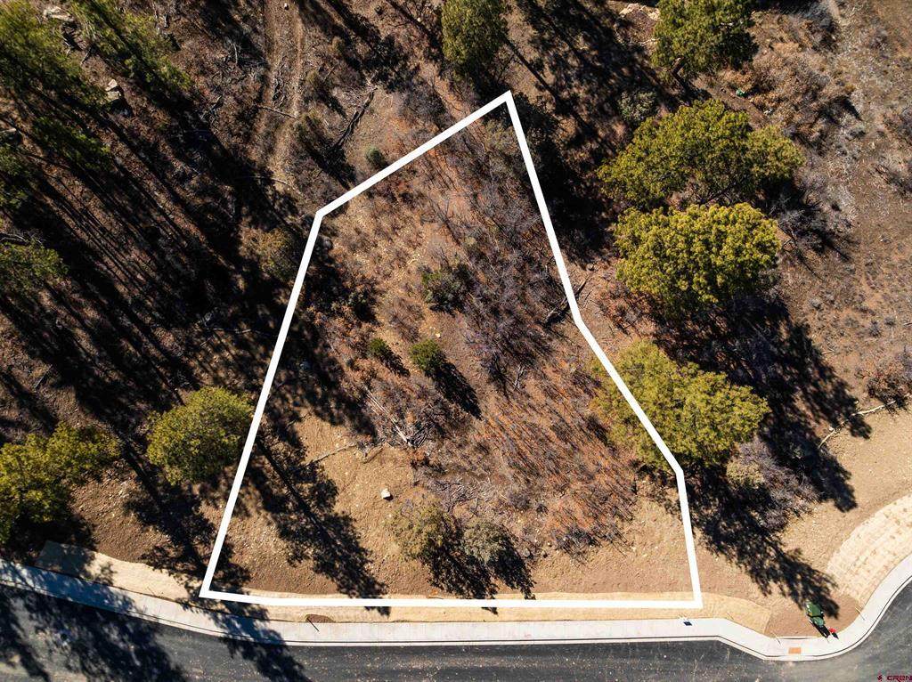 77 Winterberry Ct (Lot 124) - Photo 1