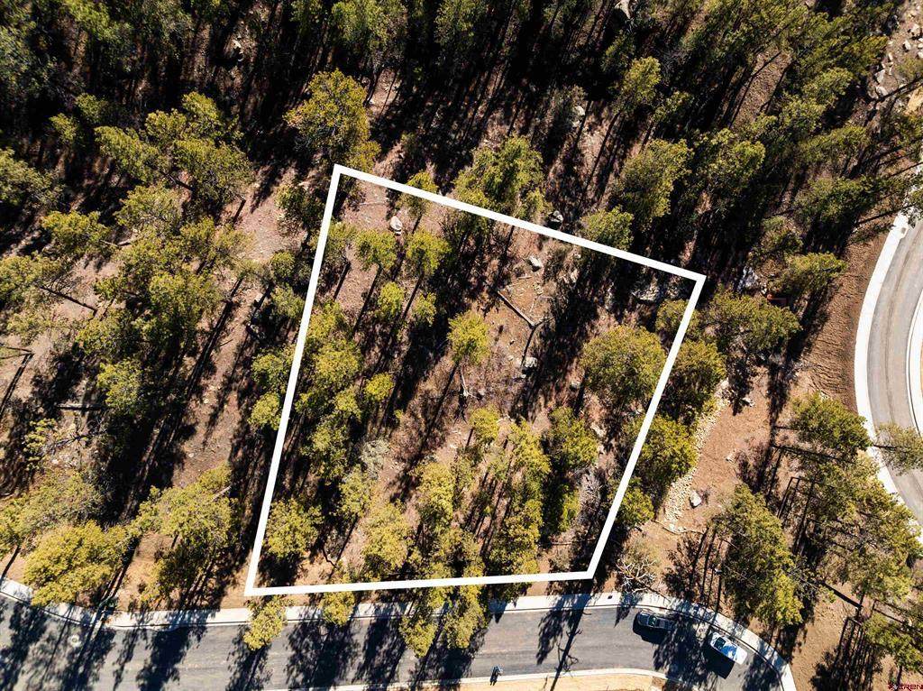 46 Avalanche Lily Dr. (Lot 131) - Photo 1