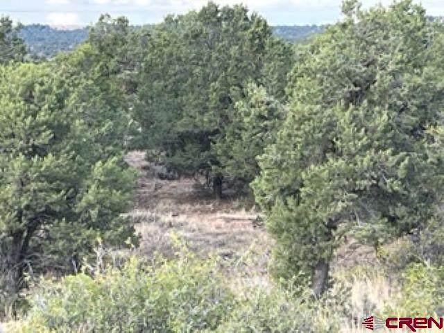 16987 Road 28.8 - Photo 1