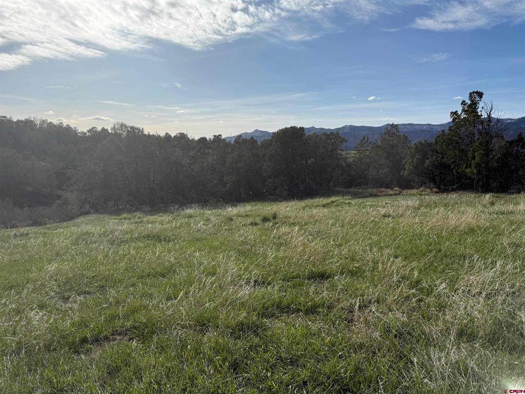 14495 Scott Loop - Photo 1