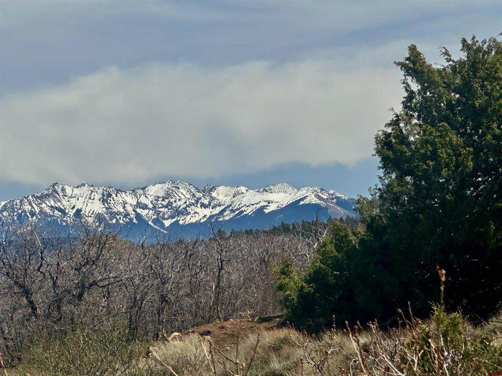 Gurley Reserve - Photo 1