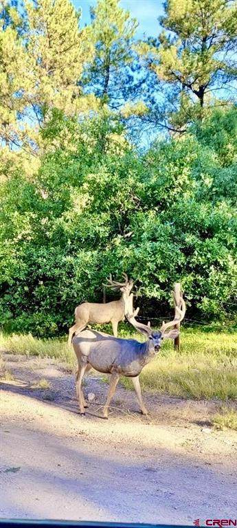 000 Sr 512 Highway - Photo 1