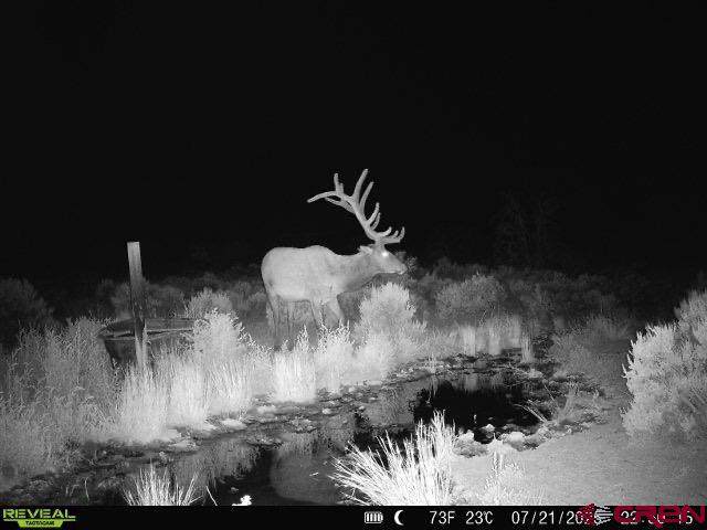 TBDWP2 County Road 106 - Photo 1