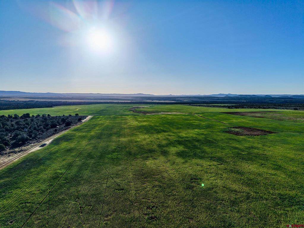 TBDWP County Road 106 - Photo 1