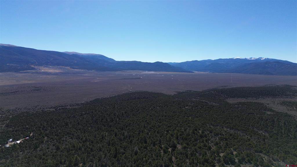 000 Horseshoe Trail - Photo 1