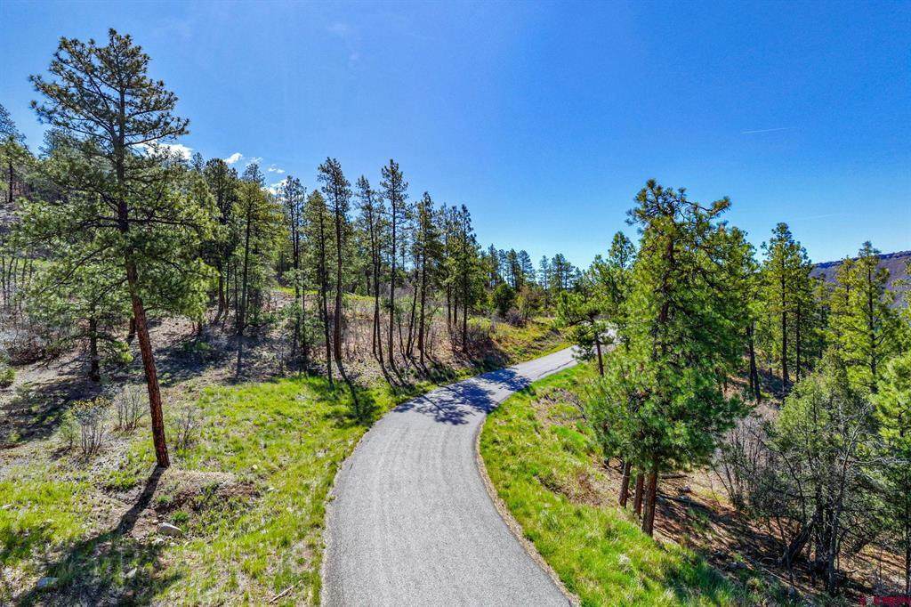 701 Durango Cliffs Drive - Photo 1