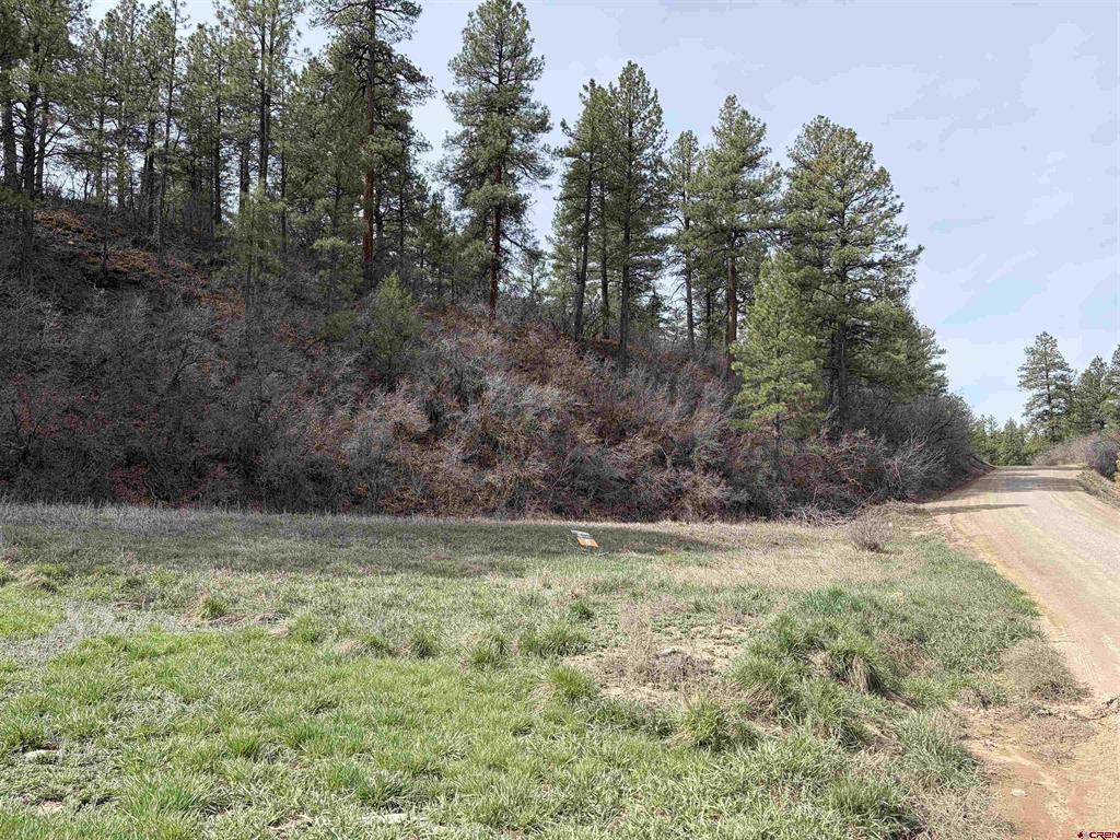267 River Run Drive - Photo 1