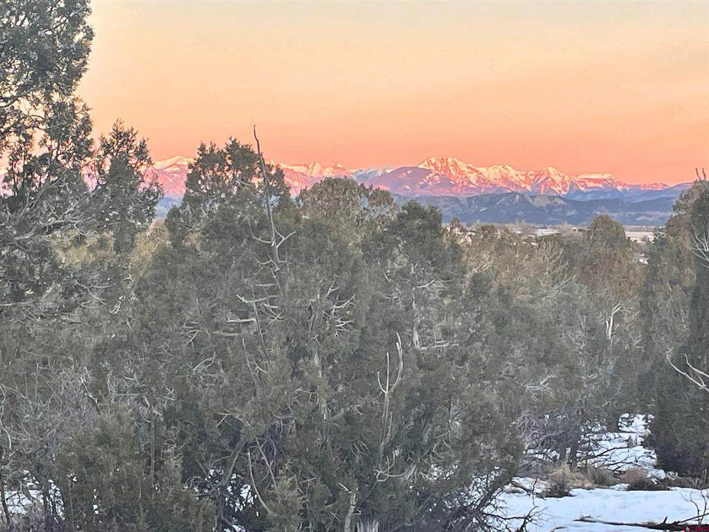 232 Rawhide Road - Photo 1