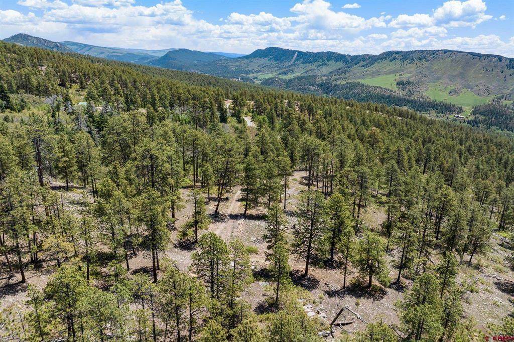 2511 Taylor Ranch Road - Photo 1
