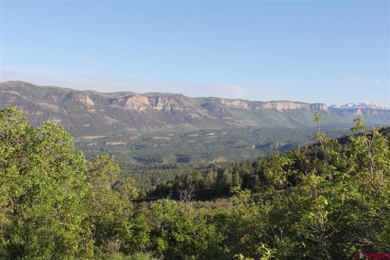 520 Star Peak - Photo 1