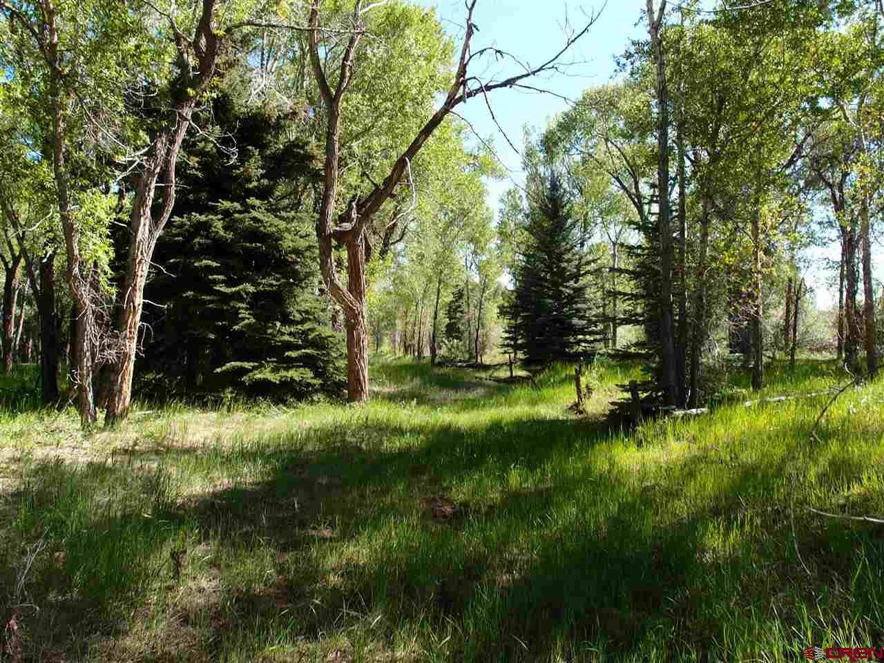 1646 River Island Drive - Photo 1 1646 River Island Drive - Photo 1