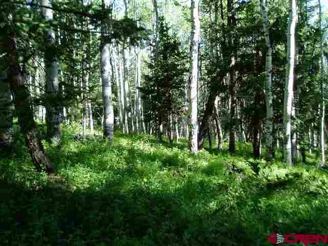583 Crest Drive - Photo 1