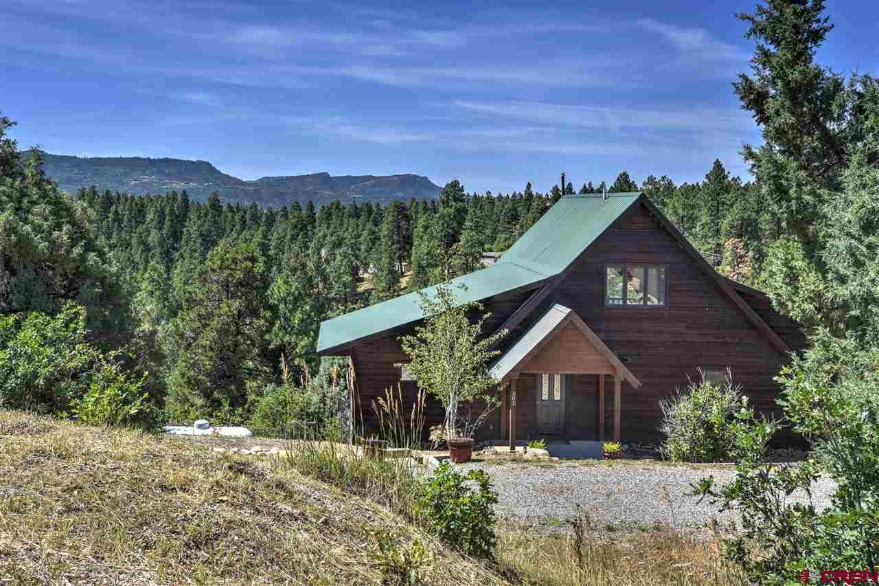 301 Gulch Road - Photo 1