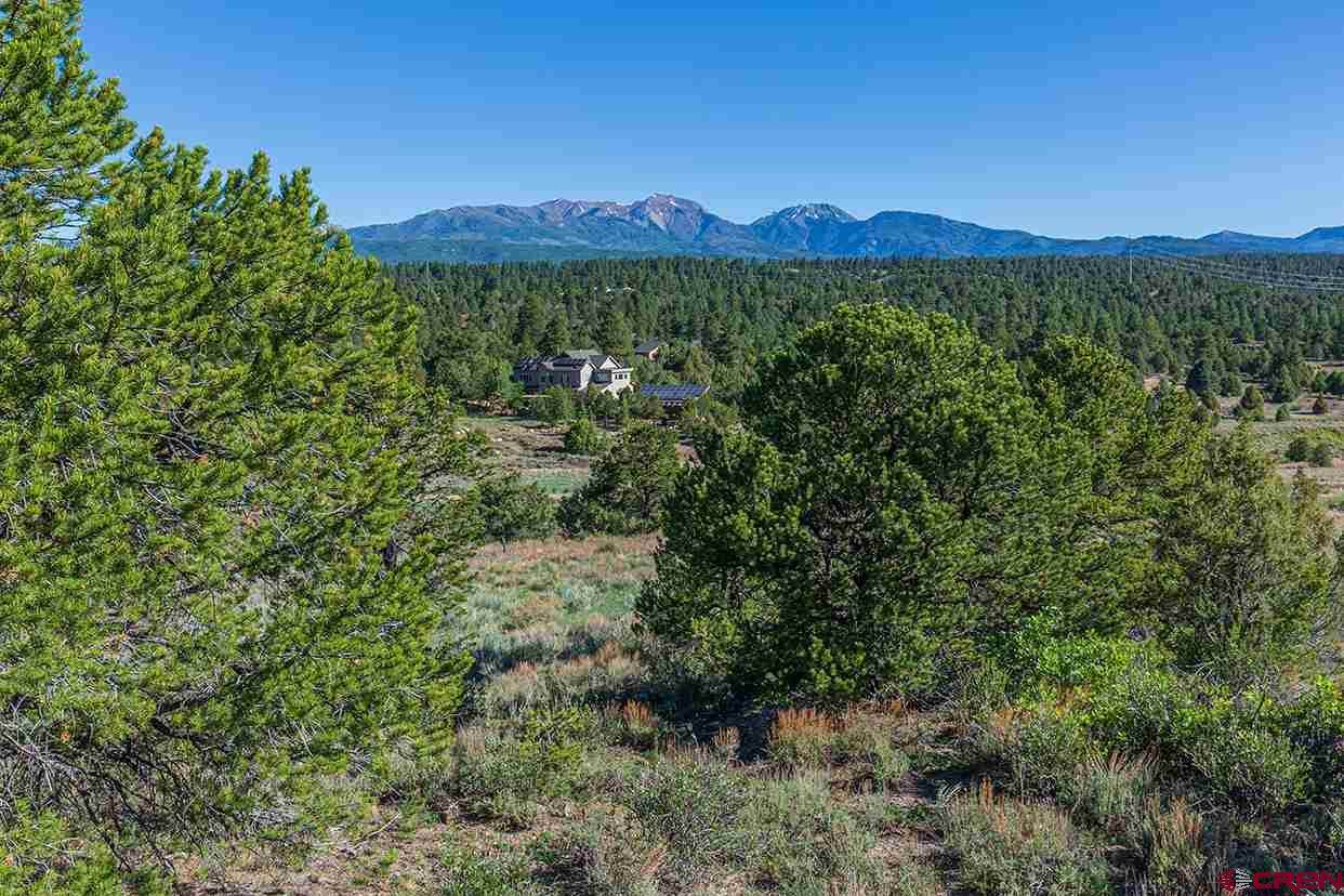 648 Wildcat Trail - Photo 1