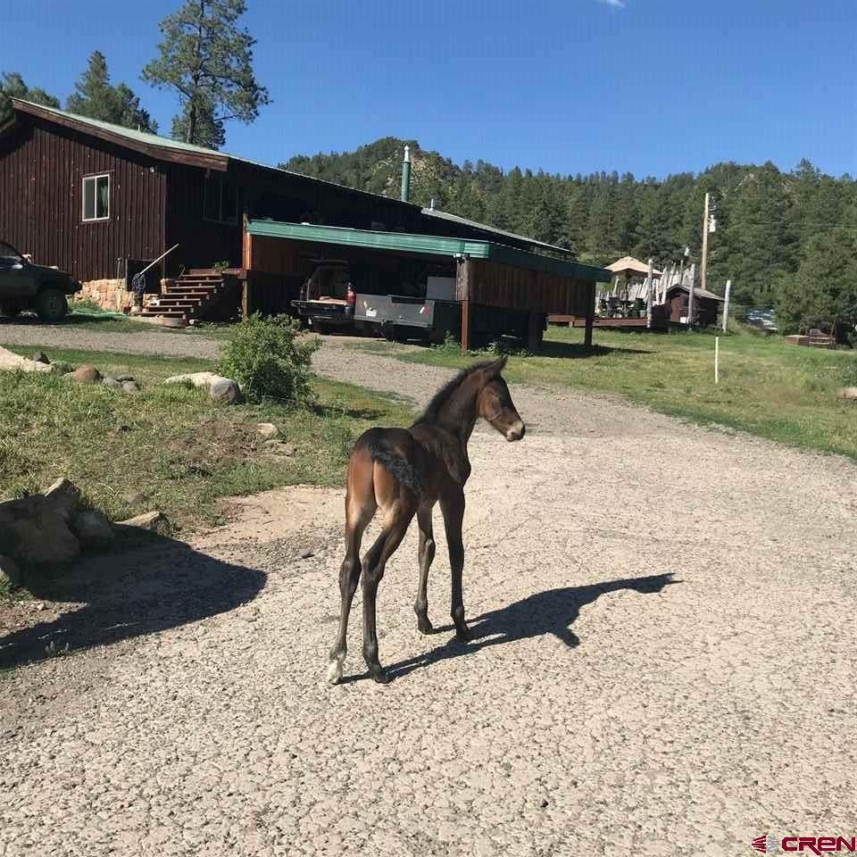 11078 Us Hwy 84 - Photo 1