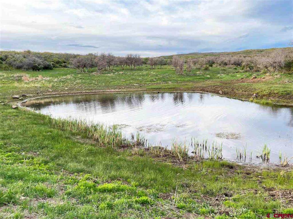 tbd Oak Mesa Road - Photo 1