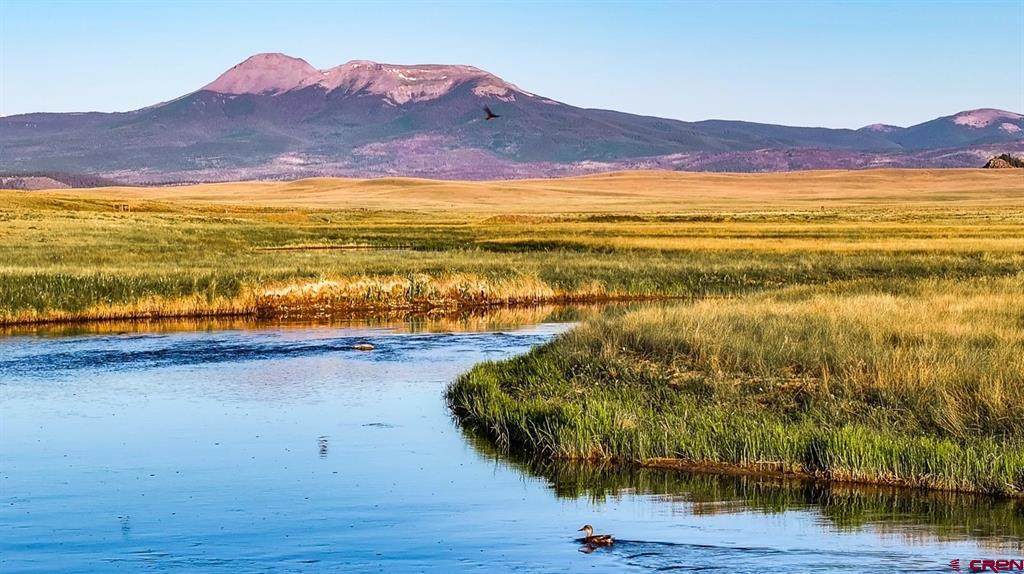 30341 Highway 9 - Photo 1