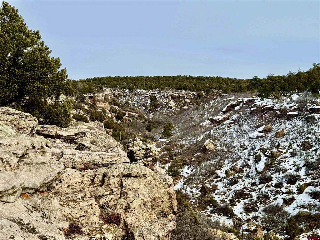 000 Cr K Road - Photo 1