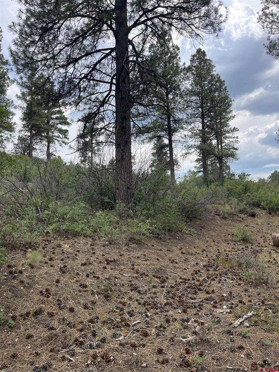 181 River Run Dr - Photo 1