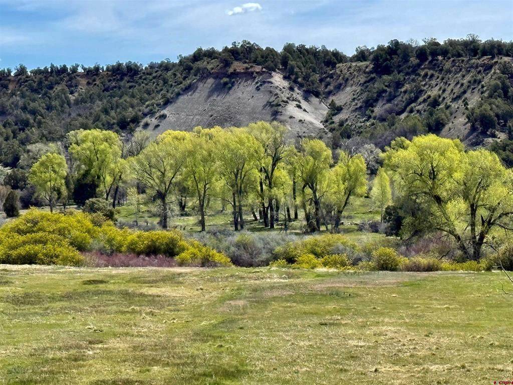 769 & 784 Bareback Lane - Photo 1