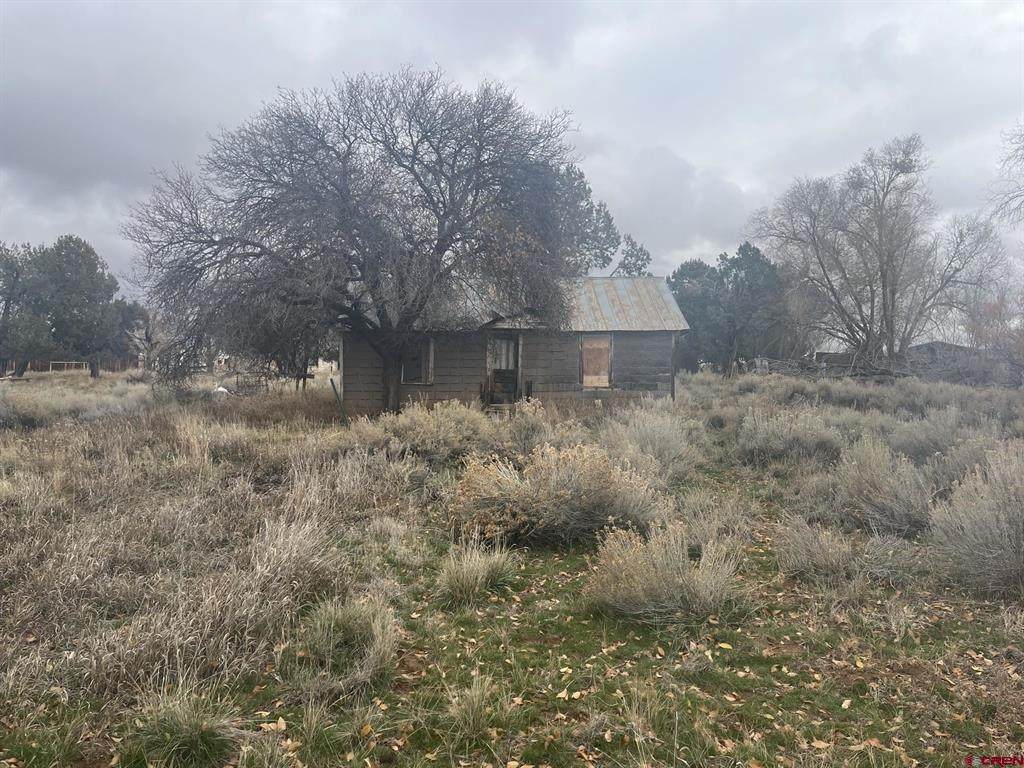 51654 Highway 491 - Photo 1