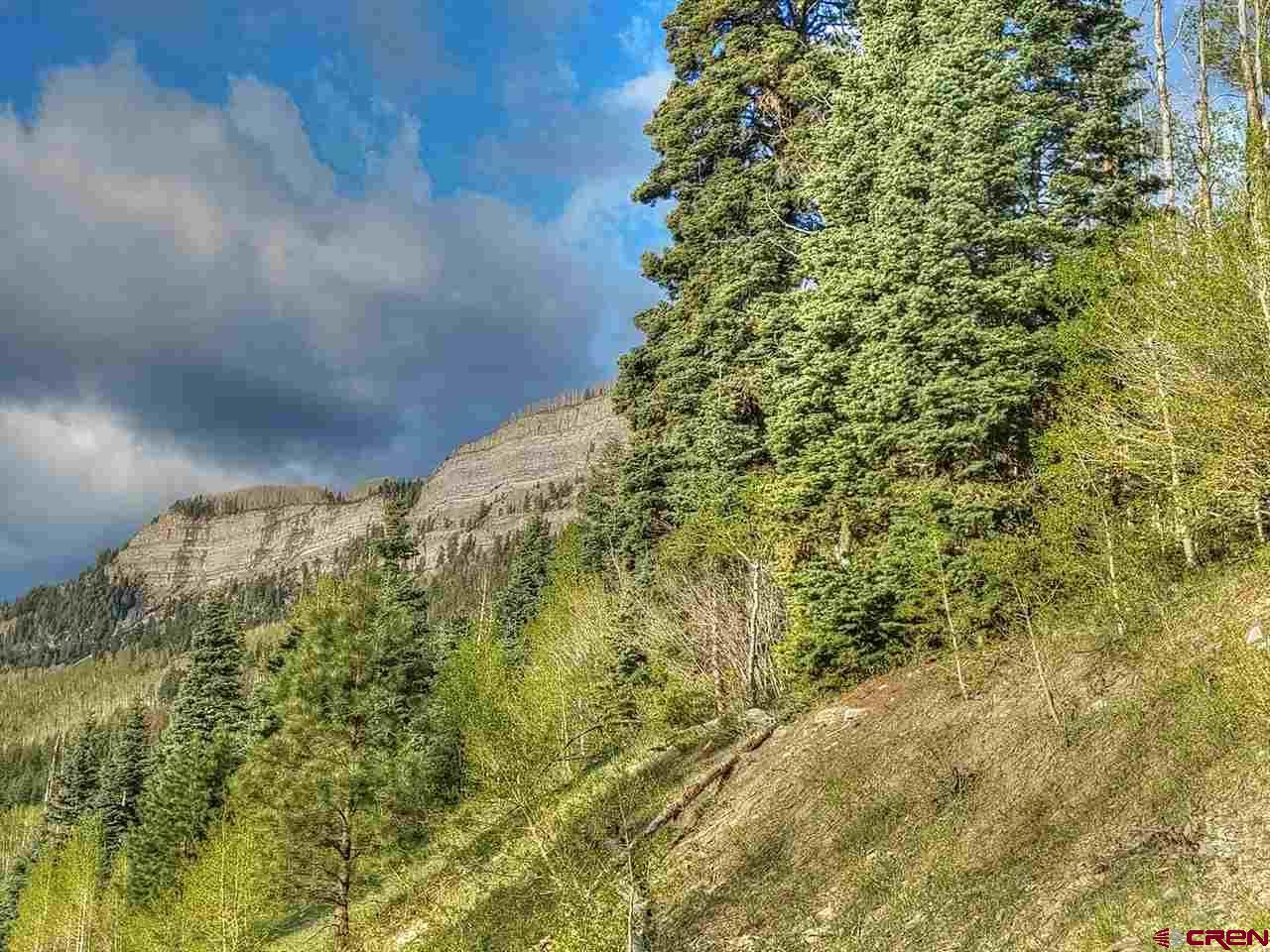 TBD Hwy 550 Highway - Photo 1