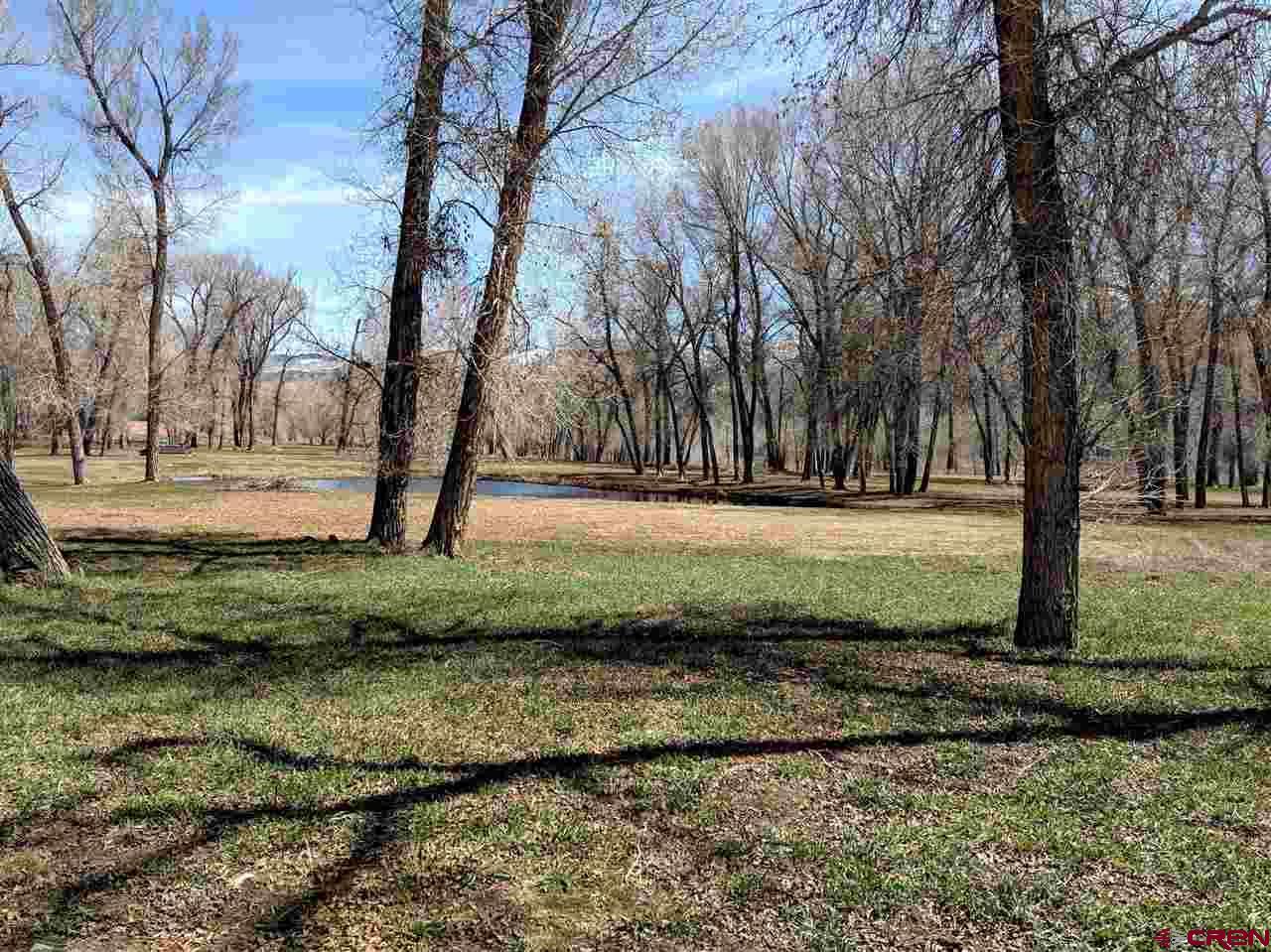 699 Hermosa Meadows Road - Photo 1