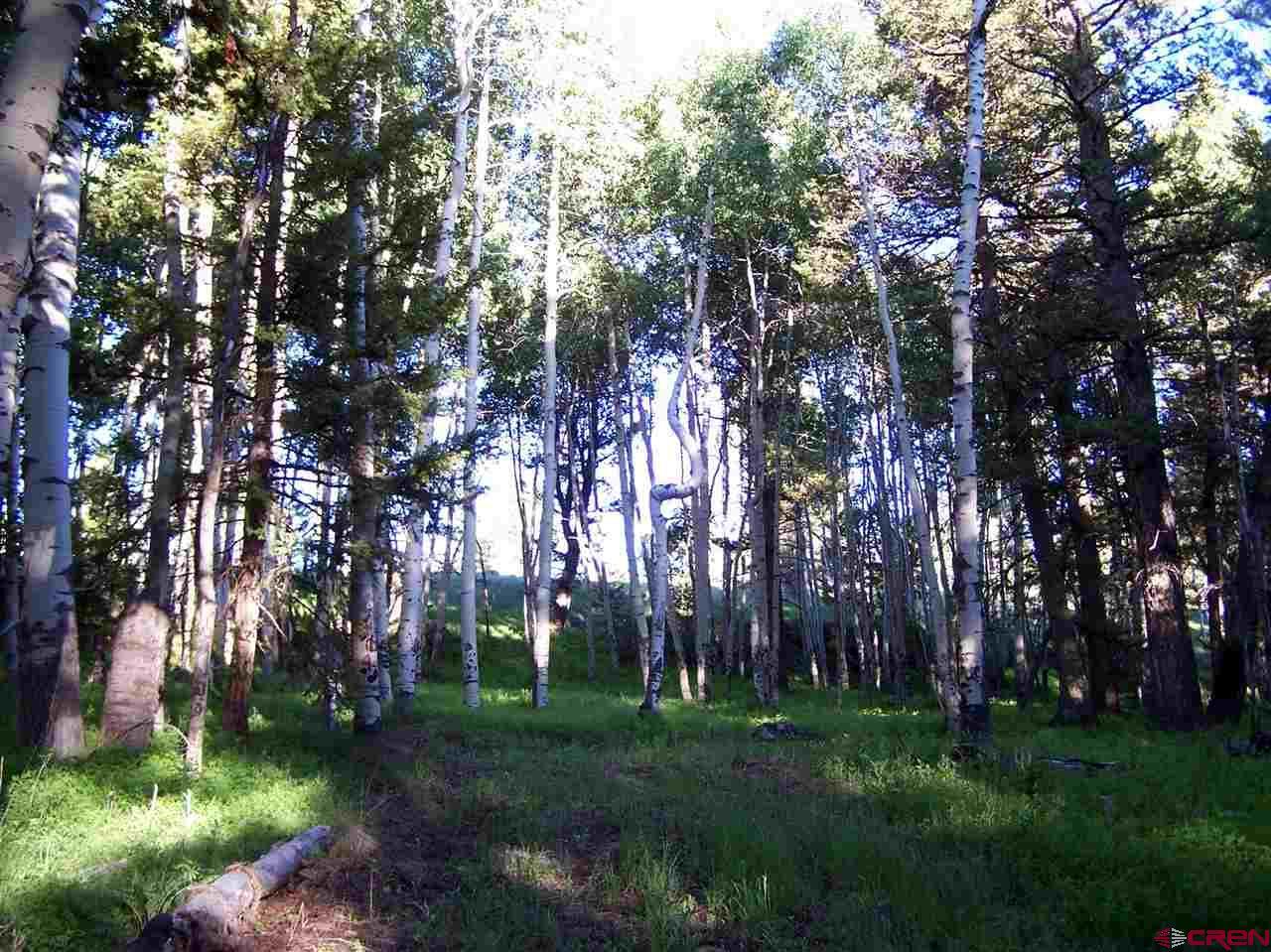 770 Ponderosa Way - Photo 1
