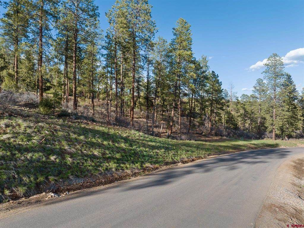 102 Red Canyon Court - Photo 1