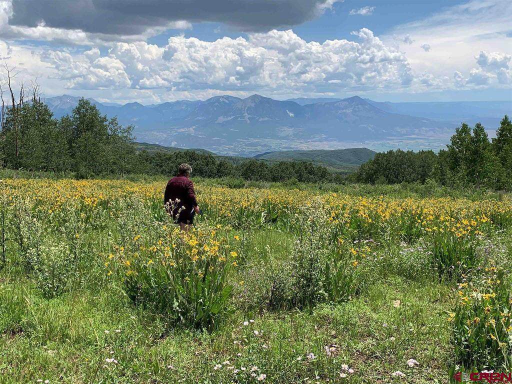 34681 Forest Road 128.G - Photo 1