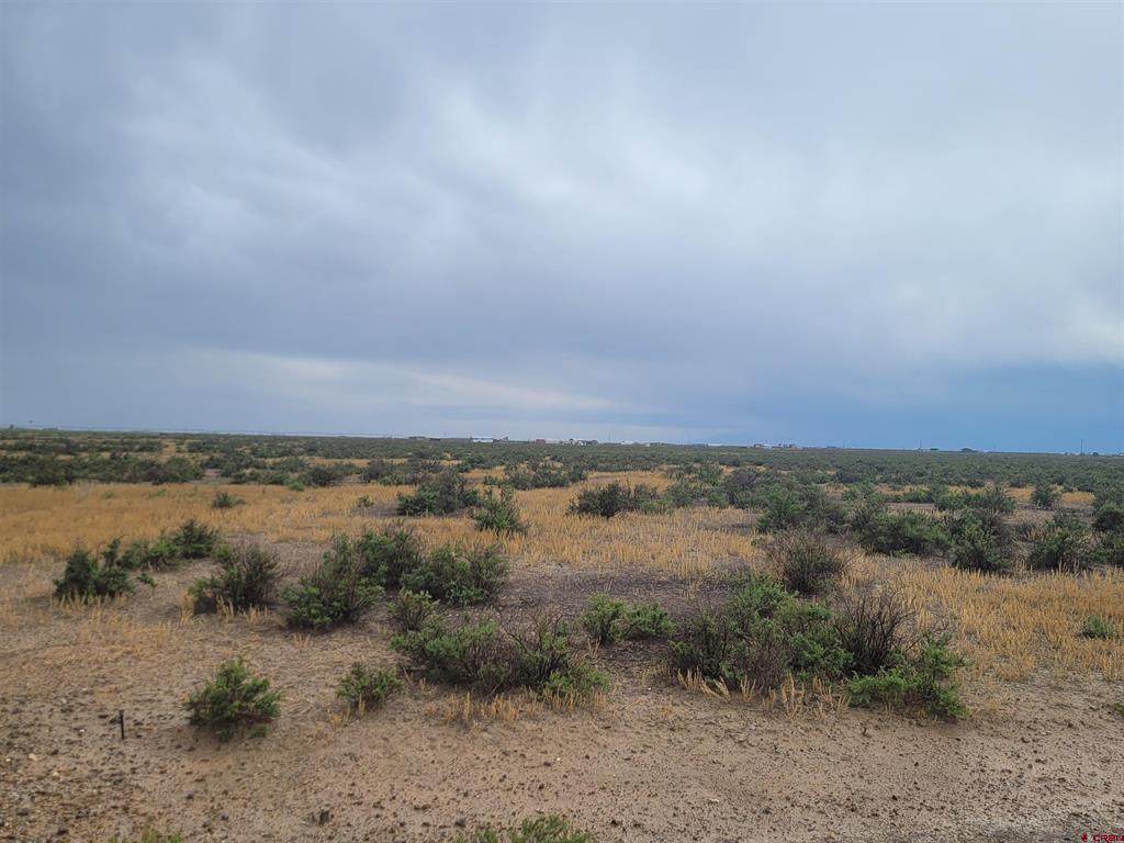 58086 Betty Lee Drive - Photo 1